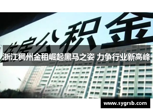 浙江稠州金租崛起黑马之姿 力争行业新高峰
